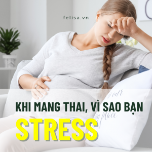 stress là gì