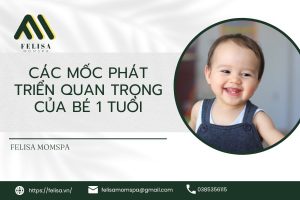 Các Mốc Phát Triển Quan Trọng Của Bé 1 Tuổi