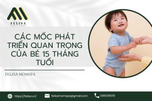 Các Mốc Phát Triển Quan Trọng Của Bé 15 Tháng Tuổi