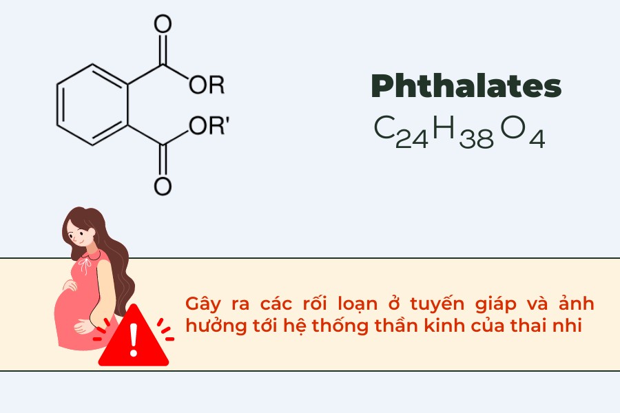 mẹ bầu cần tránh thành phần Phthalates