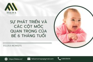 sự phát triển và các cột mốc quan trọng của bé 6 tháng tuổi