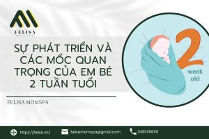 Sự Phát Triển Và Các Mốc Quan Trọng Của Em Bé 2 Tuần Tuổi