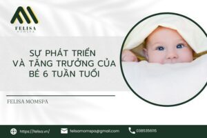 Sự Phát Triển Và Tăng Trưởng Của Bé 6 Tuần Tuổi