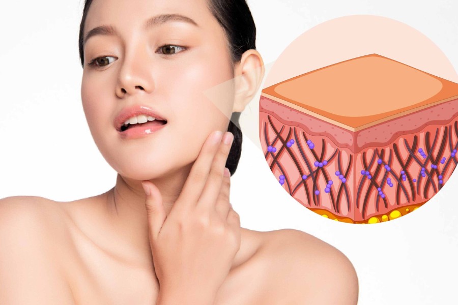 Collagen và Elastin ngừa lão hoá